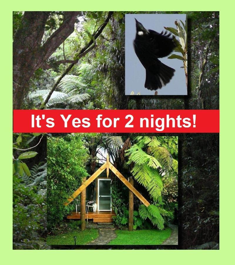 Bed and Breakfast Mount Tutu Eco-Sanctuary Ohauiti Exterior foto